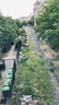 MDZ IMG 0912